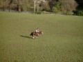 Murphy galloping Murphy galloping