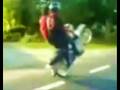 videos de IWAN FALS (Kuda Lumping)