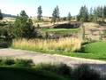 videos de #14 at Black Rock