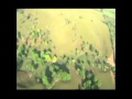 SEDAFOP, Se impulsa el desarrollo forestal en Tabasco en el mediano plazo.mpg