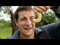 Man vs. Wild - Bear's Ultimate Survival Guide Part Two  - Bear's Gourmet Menu