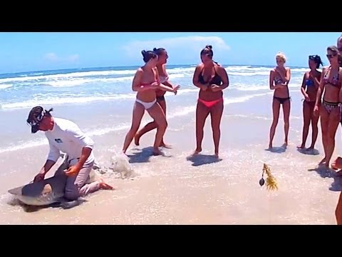 Daytona Beach - I caught a six to 7 foot Blacktip Shark while fishing at Daytona Beach on May 23, 2012. A crowd of 50 mostly woman and girls watched as I landed this amazing...
