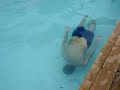 Ale Pagando Cofrinho em Baixo d\