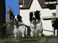 Runrig-A Dh'Innse Na Firinn (To Tell the Truth)