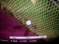 winning eleven best goal ever seen