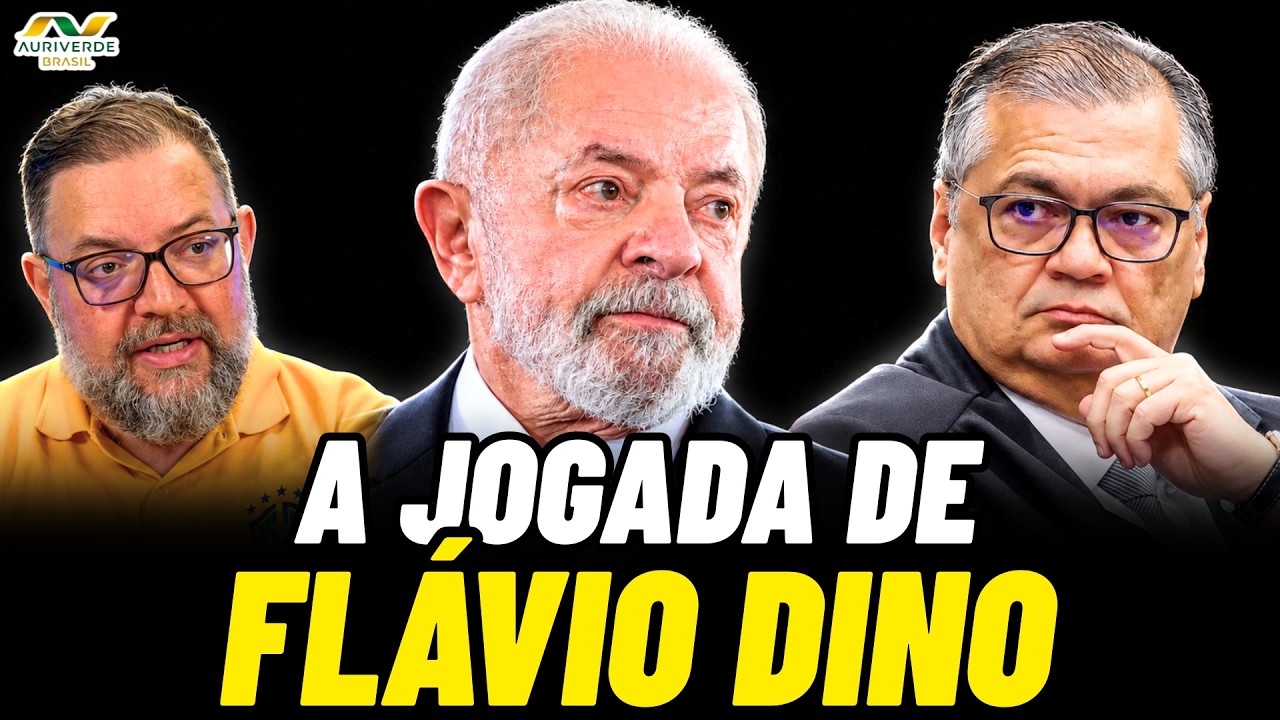 Dino envia ao plenário decisão que liberou postagem sobre Nossa Senhora