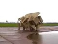 Walking Robot