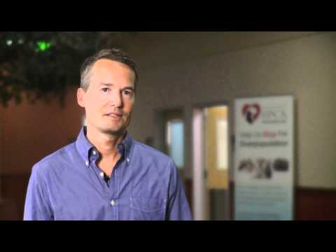 sfspca - Take a tour of the non-profit San Francisco SPCA Veterinary Hospital, and meet some of the people who dedicate their lives to caring for cats and dogs.