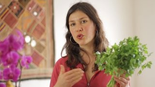 Les jus verts, quels bienfaits? Quels ingrédients?