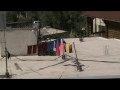 canon legria fs200 TEST