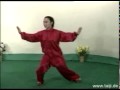 tai chi yang style