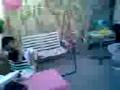 videos de Zy@janelbday.3gp