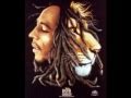 Bob Marley - Caution Remix.wmv