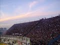 Dale campeon... Dale campeon...