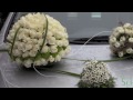 Hochzeit-und Brautschmuck von Schmedes-Blumen und Grün in Hannover