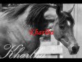 Paardenspel