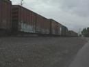 BNSF And UP Trains At Todd Road Crossing