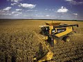 Big Farmin\