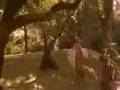  - MovieZen Video
