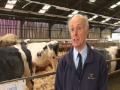 IBR - Infectious Bovine Rhinotracheitis