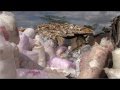 Plastic Bag Recycling in Kenya