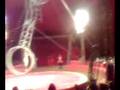 Circus Cirque سيرك 10