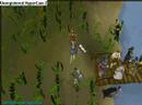 Normal day in runescape
