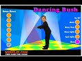 Dancing Bush Dancing Bush