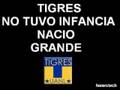 tigres de la uanl