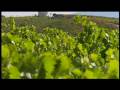 Barranco Oscuro, el cava del hielo (Tierras Altas, Canal Sur, 02/01/09)