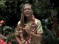 videos de Quan Yin Enlightenment Ignition pt.2