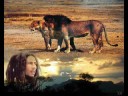 Bob Marley Tribute Bob Marley Tribute