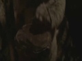 Star Wars - Han, Luke, Leia, Chewie - Our Lives
