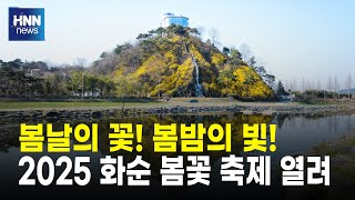 봄날의 꽃, 봄날의 빛