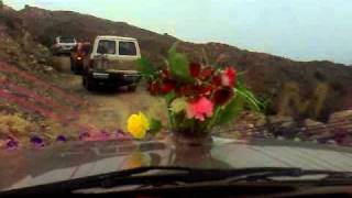 Al Shaib Wedding (عبد المجيد احمد قحطان)