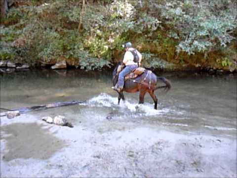 San Lorenzo River Play
