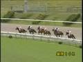 岩手競馬 08年ジュライカップ