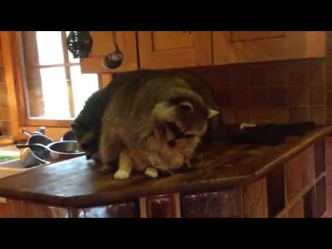 chips away chips away