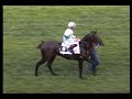 Lord Silvano (GER) - 20.5.2007 Lord Silvano (GER) - 20.5.2007