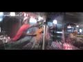 koh pha ngan, full moon party, hd 2011 island tour