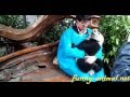 Man holding panda baby 
