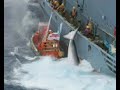 SAVE THE WHALES (photo Greenpeace by www.adventureclub.it) SAVE THE WHALES (photo Greenpeace by www.adventureclub.it)