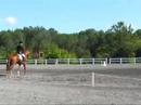Last Train Home, Jeannette Ford, VHT: Prelim