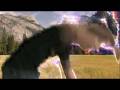 videos de SuperspeedTrails