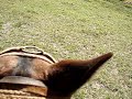 Empreitada Perigos�ssima