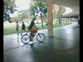 marquise ibirapuera Park