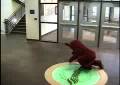 ethan the hefer breakdancing