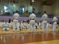 videos de Karate Kyokushin - 