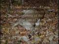 The crippling and wounding of our hunted deer