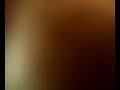 gato vs toro mecanico